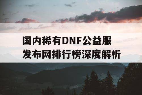 国内稀有DNF公益服发布网排行榜深度解析