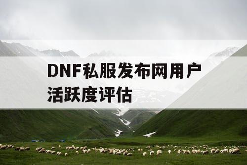 DNF私服发布网用户活跃度评估