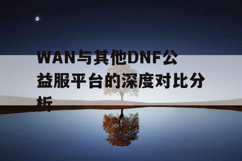 WAN与其他DNF公益服平台的深度对比分析