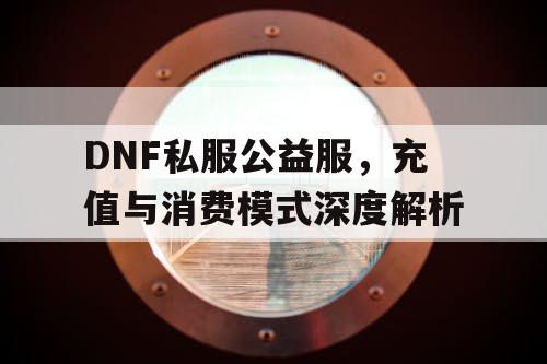 DNF私服公益服	，充值与消费模式深度解析