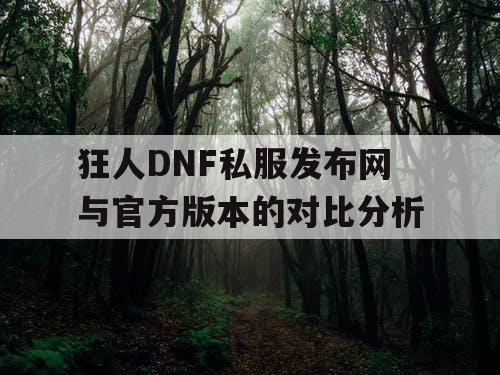 狂人DNF私服发布网与官方版本的对比分析