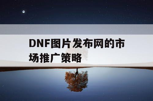 DNF图片发布网的市场推广策略