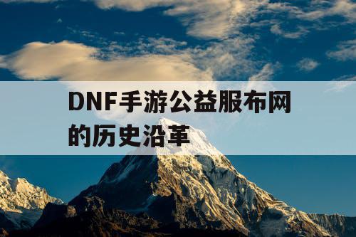 DNF手游公益服布网的历史沿革