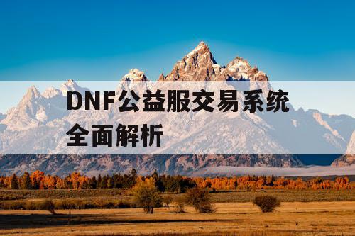 DNF公益服交易系统全面解析