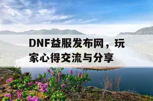 DNF益服发布网，玩家心得交流与分享