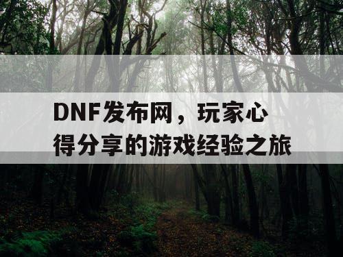 DNF发布网，玩家心得分享的游戏经验之旅