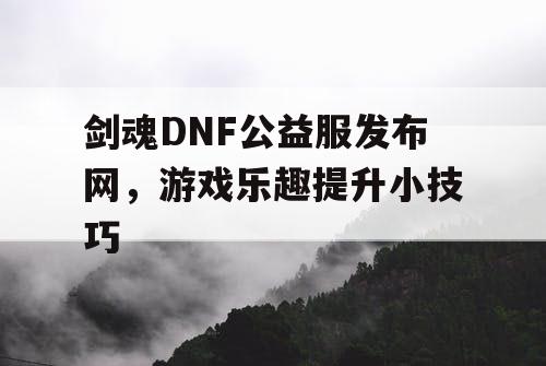 剑魂DNF公益服发布网，游戏乐趣提升小技巧