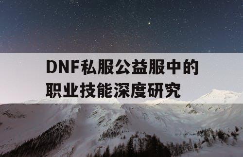 DNF私服公益服中的职业技能深度研究