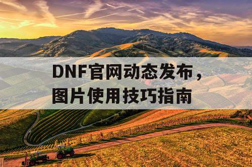 DNF官网动态发布	，图片使用技巧指南