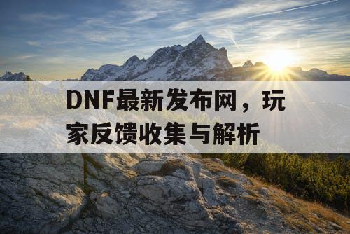 DNF最新发布网，玩家反馈收集与解析