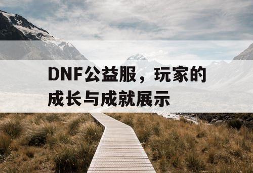 DNF公益服，玩家的成长与成就展示