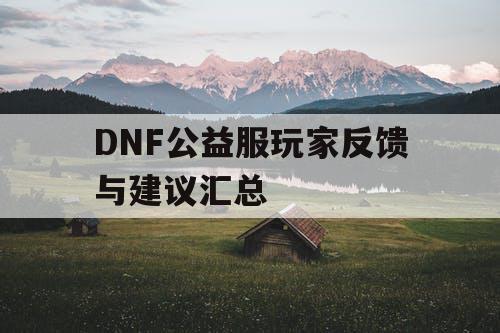 DNF公益服玩家反馈与建议汇总