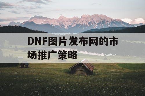 DNF图片发布网的市场推广策略