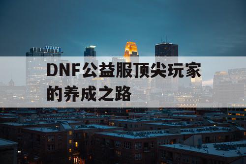 DNF公益服顶尖玩家的养成之路