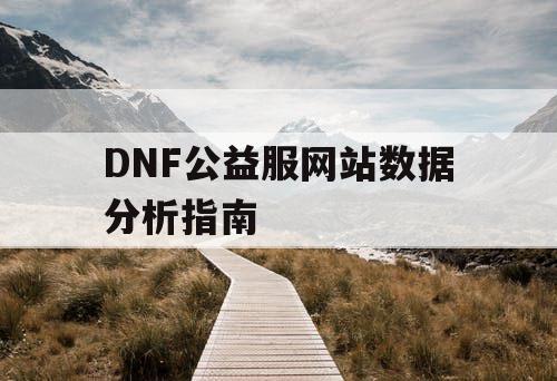 DNF公益服网站数据分析指南