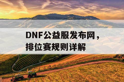 DNF公益服发布网，排位赛规则详解