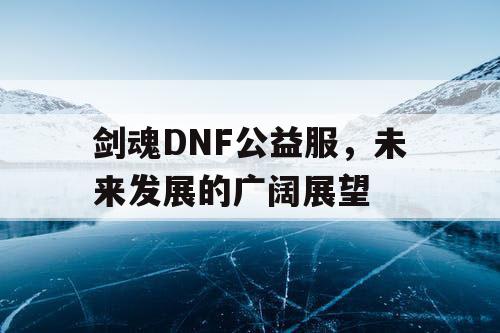 剑魂DNF公益服，未来发展的广阔展望