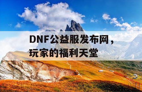 DNF公益服发布网，玩家的福利天堂