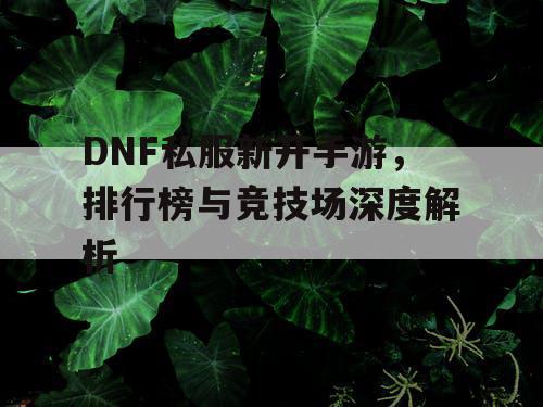 DNF私服新开手游，排行榜与竞技场深度解析