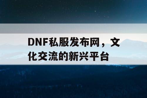 DNF私服发布网	，文化交流的新兴平台