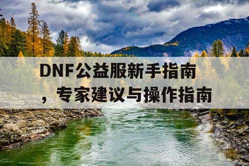 DNF公益服新手指南，专家建议与操作指南