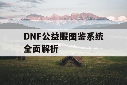 DNF公益服图鉴系统全面解析