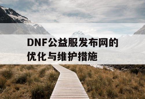 DNF公益服发布网的优化与维护措施