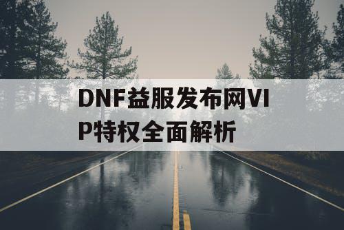 DNF益服发布网VIP特权全面解析