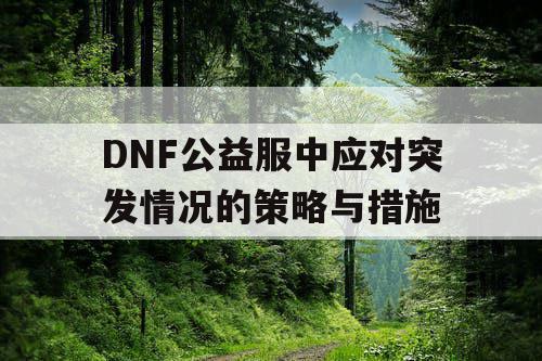 DNF公益服中应对突发情况的策略与措施