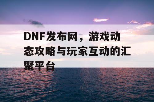 DNF发布网，游戏动态攻略与玩家互动的汇聚平台