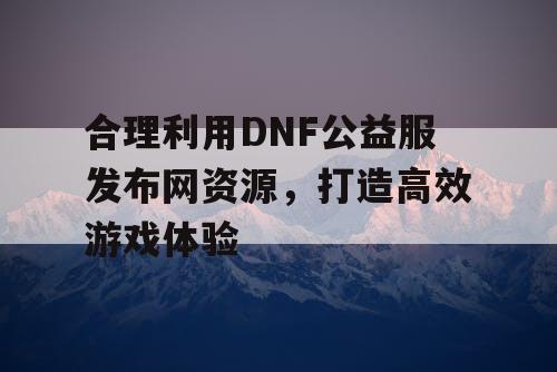 合理利用DNF公益服发布网资源	，打造高效游戏体验