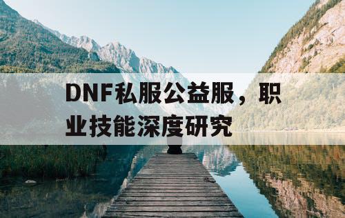 DNF私服公益服，职业技能深度研究