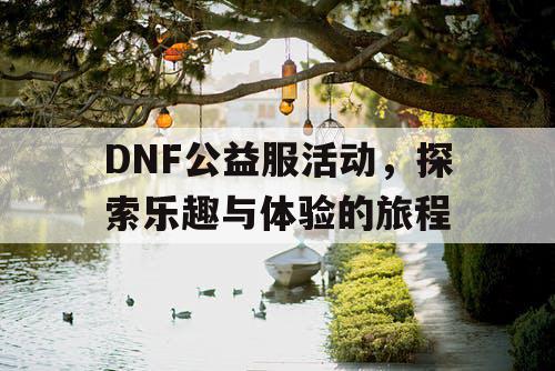 DNF公益服活动，探索乐趣与体验的旅程