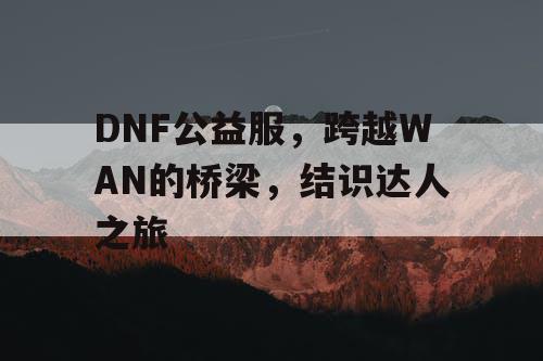 DNF公益服，跨越WAN的桥梁，结识达人之旅