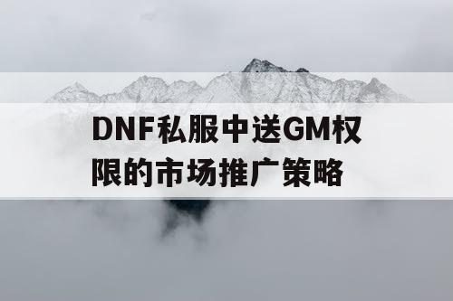 DNF私服中送GM权限的市场推广策略