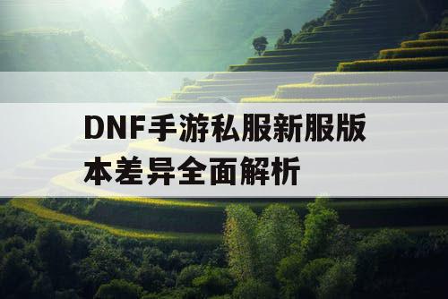 DNF手游私服新服版本差异全面解析