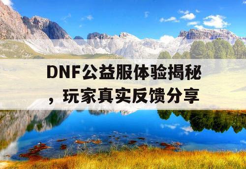 DNF公益服体验揭秘，玩家真实反馈分享