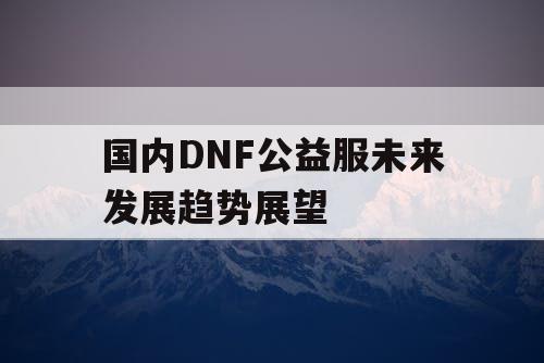 国内DNF公益服未来发展趋势展望