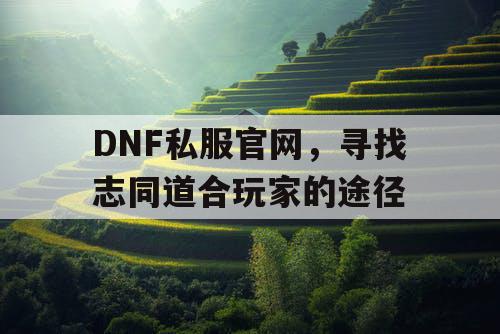 DNF私服官网	，寻找志同道合玩家的途径