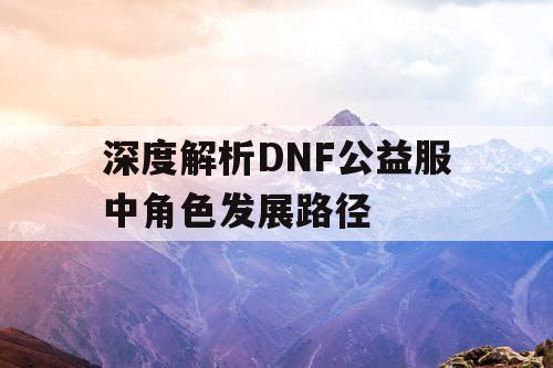 深度解析DNF公益服中角色发展路径