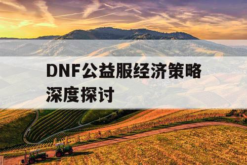 DNF公益服经济策略深度探讨