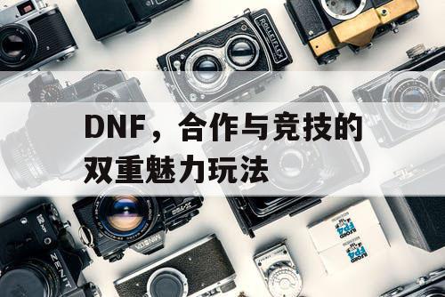 DNF	，合作与竞技的双重魅力玩法