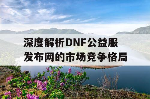 深度解析DNF公益服发布网的市场竞争格局