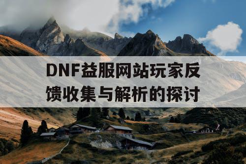 DNF益服网站玩家反馈收集与解析的探讨