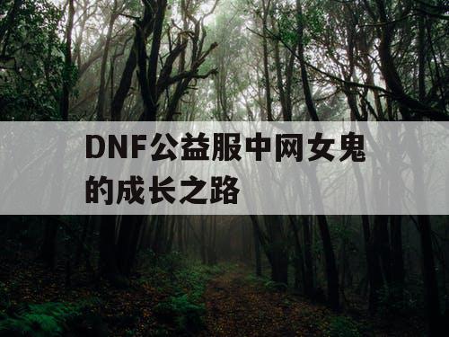 DNF公益服中网女鬼的成长之路