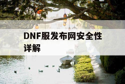 DNF服发布网安全性详解