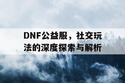 DNF公益服，社交玩法的深度探索与解析