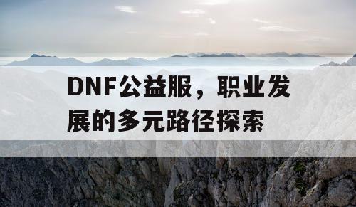 DNF公益服，职业发展的多元路径探索