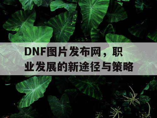 DNF图片发布网，职业发展的新途径与策略