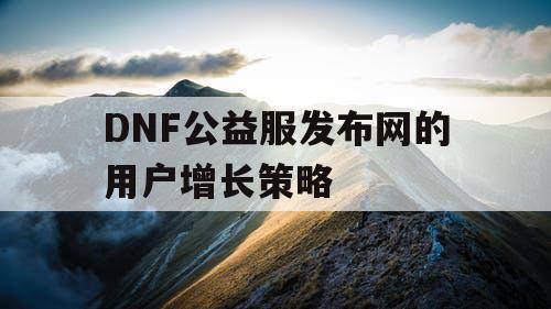 DNF公益服发布网的用户增长策略